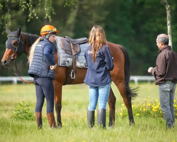 Une femme en tenue d'équitation discute avec un homme près d'un cheval sellé, lors d'une formation cheval pour adulte en extérieur.