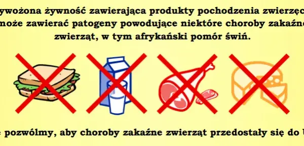 Żywność do Szwajcarii? Sprawdź limity i uniknij problemów!