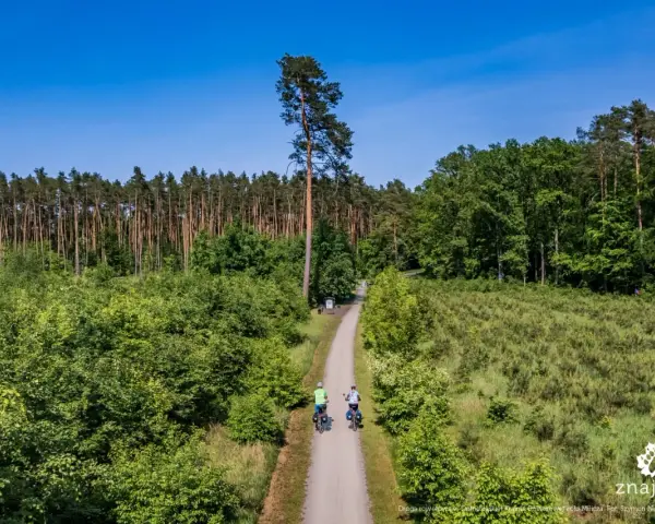 Dwie osoby na rowerach przemierzają leśne trasy rowerowe. Droga wiedzie przez gęsty las i polany.
