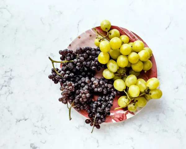 Zwei Trauben, dunkle und helle, liegen auf einem Teller. Sie sind ein Beweis dafür, wie gesund weintrauben sind.