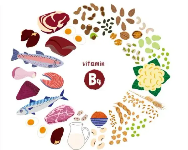 Vitamin B4: Wichtige Informationen über Mangel, Vorteile und Quellen