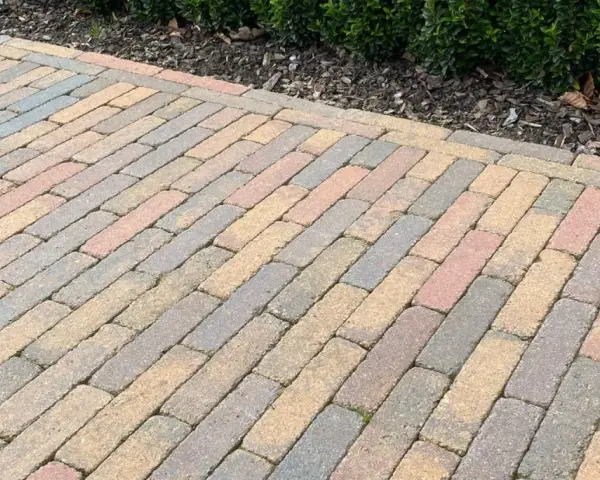 Un chemin en pavés extérieurs aux teintes chaudes et grises, bordé par un buisson verdoyant.