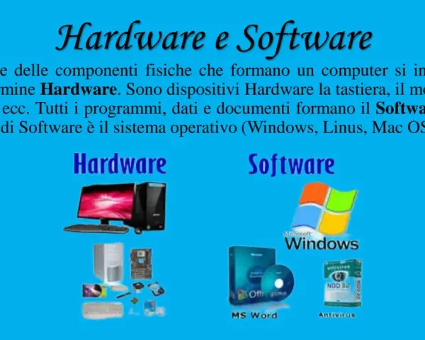 Hardware e Software: il primo è l'insieme delle componenti fisiche, il secondo i programmi. Esempi di Software: Windows, MS Word, Antivirus.