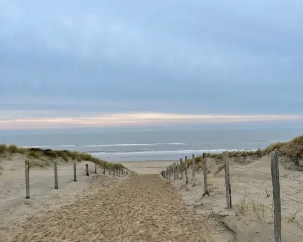Spiagge Amsterdam: Guida alle Mete Vicine (Zandvoort, Scheveningen)