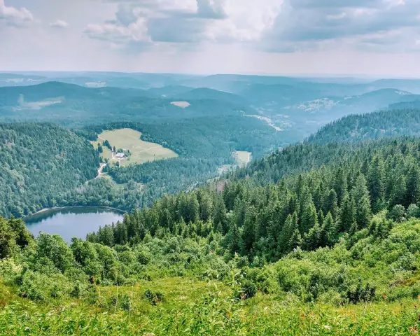 Widok na jezioro otoczone lasami i pagórkami. To jedno z najpiękniejszych miejsc w Schwarzwaldzie, gdzie natura zachwyca spokojem i zielenią.