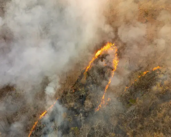 Globalne emisje CO2: Rekordy, liderzy, prognozy. Czy zatrzymamy wzrost?