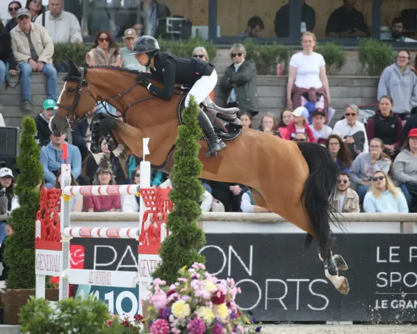 Une cavalière en plein saut, peut-être le meilleur cavalier du monde, sur son cheval brun, devant un public attentif.