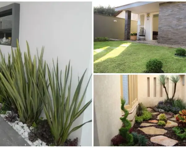 Idee per come abbellire un giardino con pochi soldi: piante decorative, ghiaia bianca e sentieri in pietra creano un angolo verde accogliente.