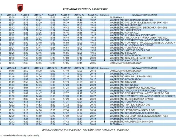Rozkład jazdy 221: kursy z Wąbrzeźna do Plebanki i z powrotem, z zaznaczonymi przystankami i godzinami odjazdów.