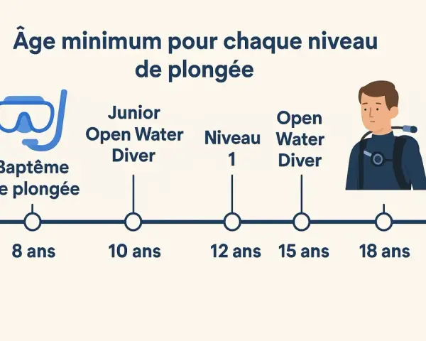 Infographie montrant les âges minimums pour différents niveaux de plongée, de 8 à 18 ans.