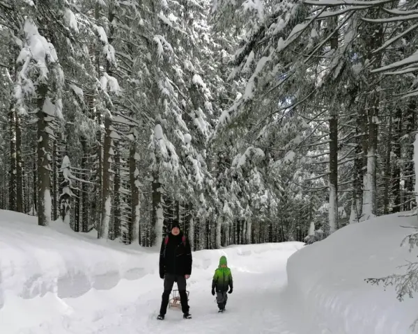 Dwie osoby na zaśnieżonym szlaku w lesie. Dziecko w zielonej kurtce idzie przodem, a za nim dorosły z sankami. Śnieg pokrywa drzewa i ścieżkę, tworząc zimowy krajobraz.