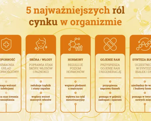Grafika przedstawia 5 kluczowych ról cynku w organizmie: odporność, zdrowie skóry i włosów, regulację hormonów, gojenie ran i syntezę białek. Niedobór cynku objawy mogą być różnorodne.
