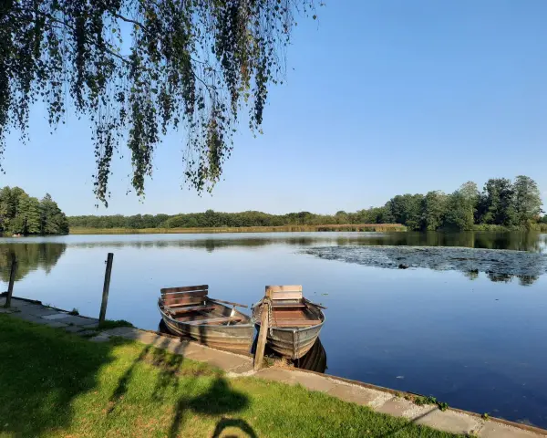 Zwei Ruderboote liegen am Ufer des Schwaigfurter Weihers. Über ihnen hängen Birkenzweige im sanften Licht.