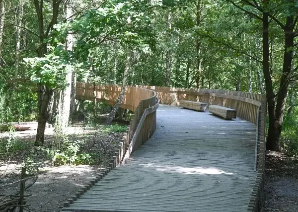 Rezerwat przyrody Olszynka Grochowska – historia, natura i atrakcje