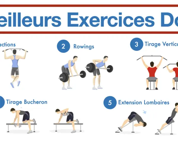 Illustration des meilleurs exercices pour le dos, incluant tractions, rowings, tirage vertical, tirage bûcheron et un exercice lombaire.