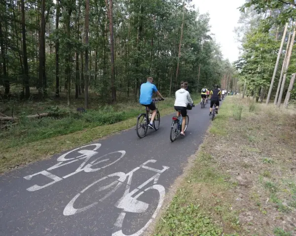 Grupa rowerzystów przemierza leśne trasy rowerowe Bydgoszcz. Ścieżka jest oznakowana symbolami rowerów.