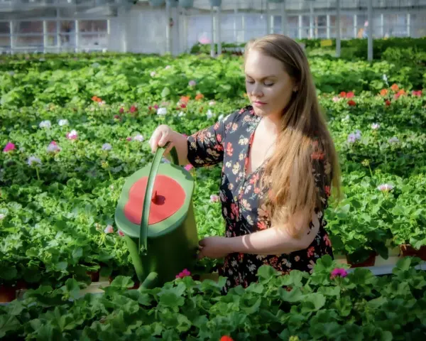Kvinna vattnar blommor i ett växthus. Hon håller en grön vattenkanna och ger guldvatten inomhus till de frodiga plantorna.