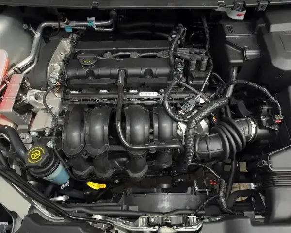 Silnik Ford Focus MK2, widok z góry. Widać kolektor dolotowy, zbiornik płynu wspomagania kierownicy i elementy układu chłodzenia.