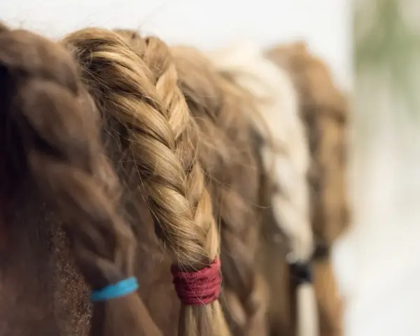 Haare spenden: Welche Mindestlänge zählt? Ihr Guide