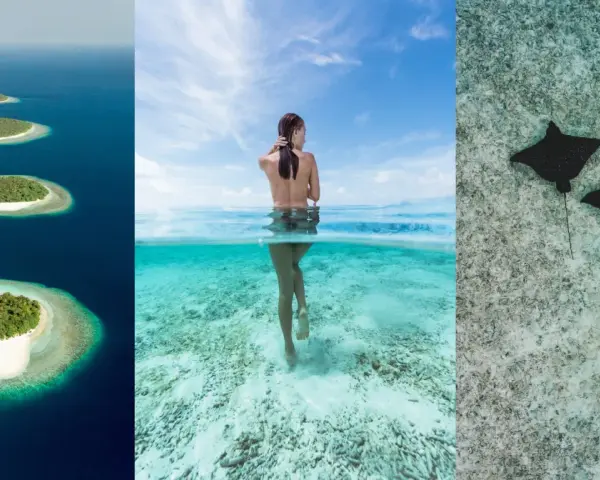 Wyspy na oceanie, kobieta w wodzie, płaszczki. Czy to Mauritius czy Malediwy? Rajskie widoki.