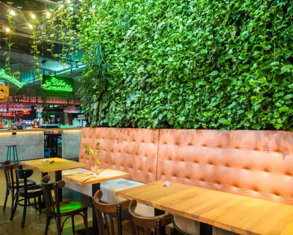 Wnętrze restauracji z zieloną ścianą i wygodnymi lożami. Idealne miejsce na odkrycie najlepszych restauracji w Krakowie - Ranking top 6.