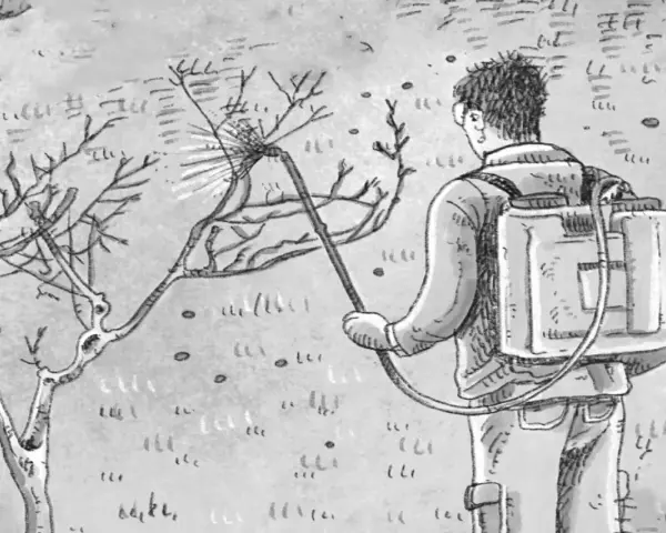 Uomo con zaino irroratore tratta un albero da frutto spruzzando. Illustrazione che ricorda una tabella trattamenti alberi da frutto.
