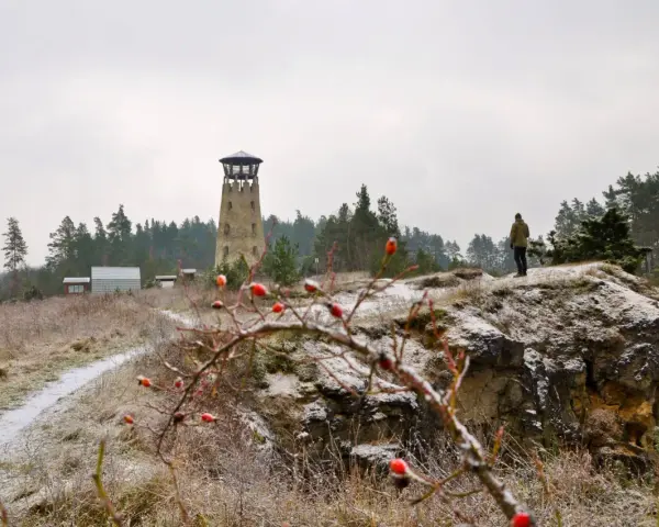 Wieża widokowa i samotny turysta na tle zimowego krajobrazu. Jósefów Roztocze atrakcje zimową porą.