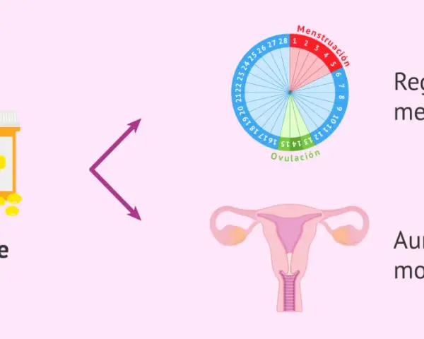 Aceite de onagra, que ayuda a regular el ciclo menstrual y aumenta el moco cervical.