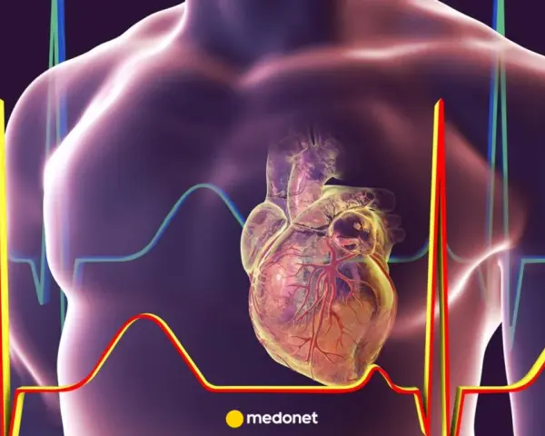 Anatomical serce człowieka na tle wykresów EKG.