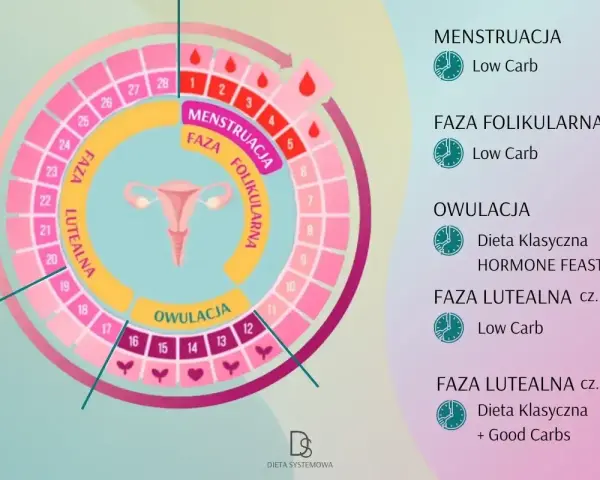 Cykl menstruacyjny: faza folikularna, owulacja i faza lutealna. Schemat cyklu z podziałem na fazy i zalecenia dietetyczne.