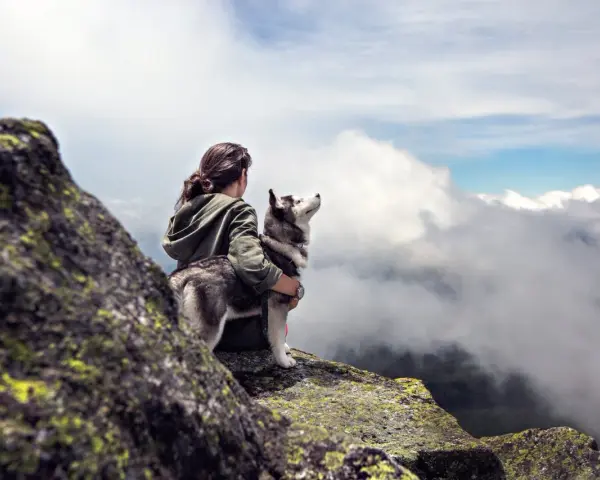 Une femme et son husky profitent d'une vue imprenable sur les nuages lors d'une randonnée.