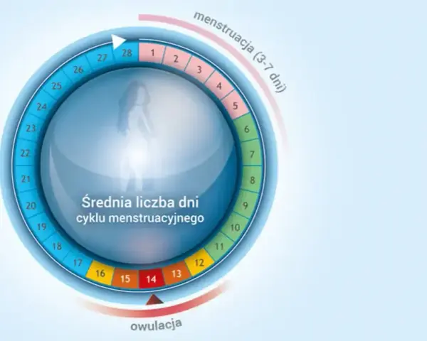 Kiedy kobiety mają dni płodne? Poznaj metody na ich określenie