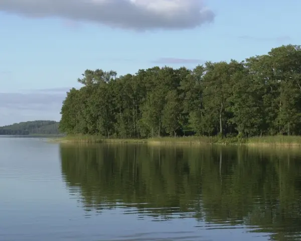 Spokojne jezioro z odbijającym się lasem w tle. Czy to właśnie tu znajduje się najgłębsze jezioro w Polsce?