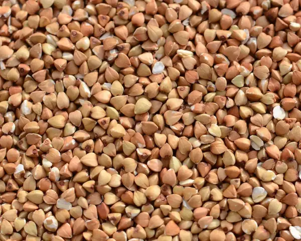 Nahaufnahme von Buchweizenkörnern, eine gesunde, glutenfreie Zutat für vielfältige Gerichte.