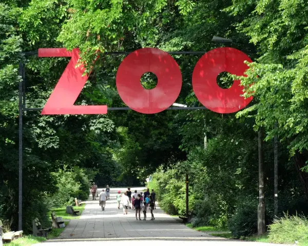 Wejście do największego zoo w Polsce. Ludzie spacerują alejką wśród zieleni.
