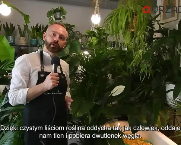 Mężczyzna w fartuchu mówi o roślinach, wśród nich jest kwiat radermachera. Rośliny produkują tlen.