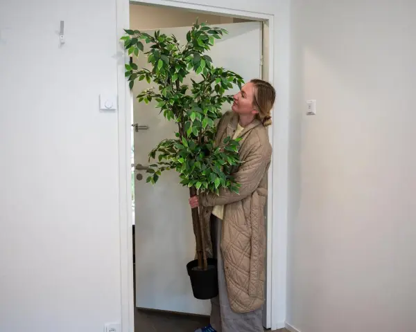 Mujer con planta en maceta en el rellano del piso, lista para entrar.