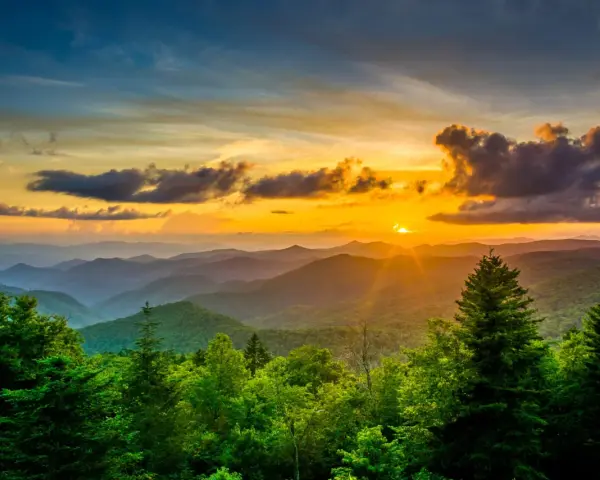 Sunset over rolling blue mountains with lush green trees in the foreground.