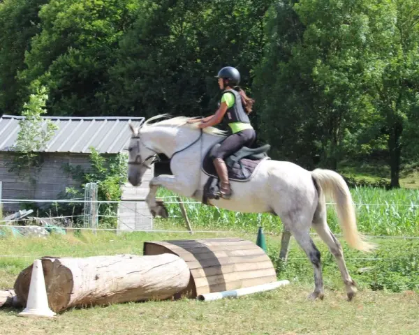Une cavalière et son cheval blanc franchissent un obstacle en CSO équitation. Le cheval saute par-dessus un tronc d'arbre et une structure en bois.