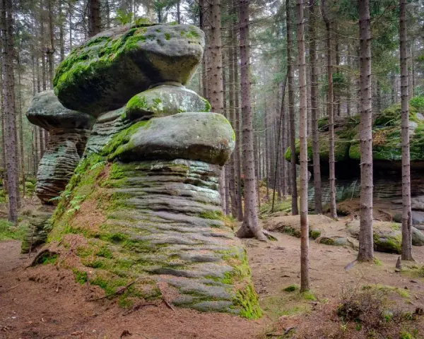 Skalne grzyby porośnięte mchem w lesie. Te naturalne formacje skalne przypominają gigantyczne grzyby, tworząc niezwykły krajobraz.