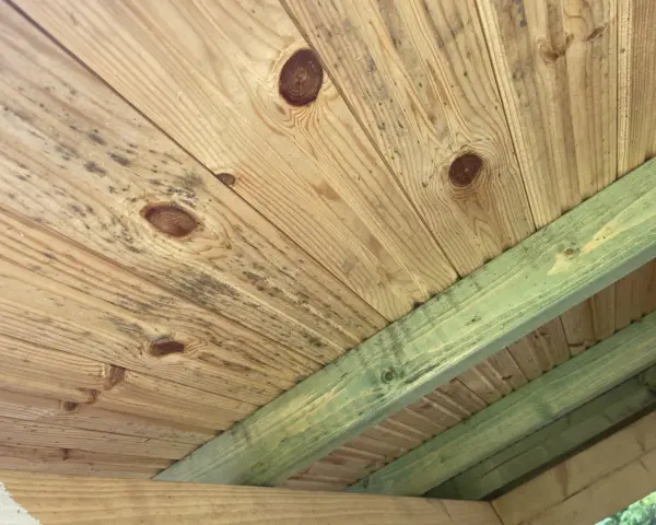 Mögel på träpanelen i en friggebod, troligen på grund av bristande ventilation.