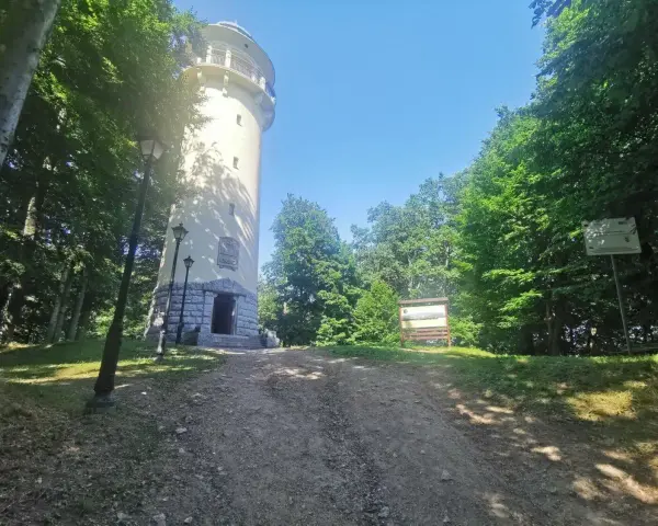 Wieża widokowa w Jeleniej Górze, otoczona zielenią, zaprasza na szczyt. Droga prowadzi do jej kamiennej podstawy.