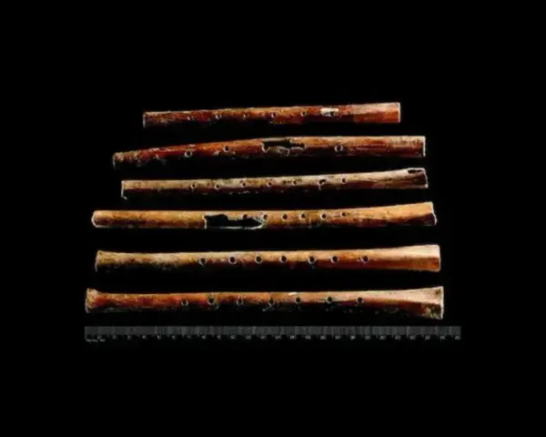 Starożytne flety z kości, najstarsze instrumenty muzyczne, ukazują pradawne melodie.