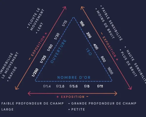Le triangle d'exposition montre les relations entre l'ouverture, la vitesse d'obturation et l'ISO pour maîtriser l'exposition et la profondeur de champ.