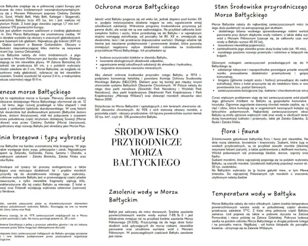Powierzchnia Morza Bałtyckiego jest zanieczyszczona.