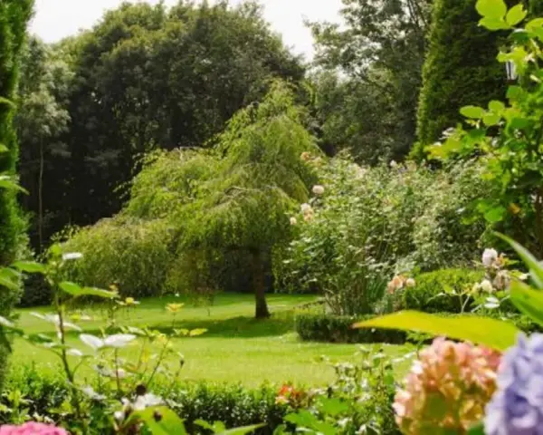 Ein üppiger Garten mit Hängebuche, Rosen und Hortensien. Tolle gartengestaltung tipps für ein Paradies.