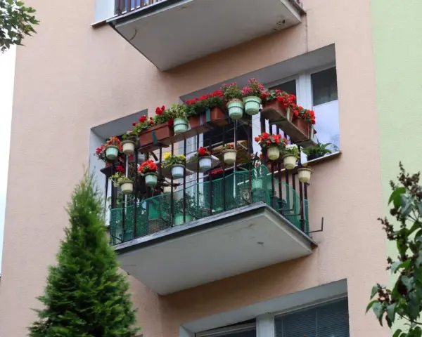 Kwiaty na balkonie z wielkiej płyty. Czy to odzwierciedla prawdziwe koszty dobudowy zewnętrznych balkonów do bloków z wielkiej płyty?