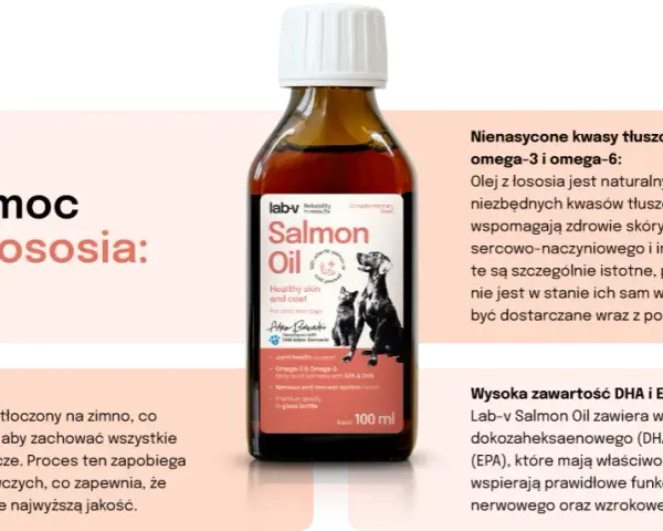 Jaki olej z łososia dla psa? Najlepsze produkty dla zdrowia pupila