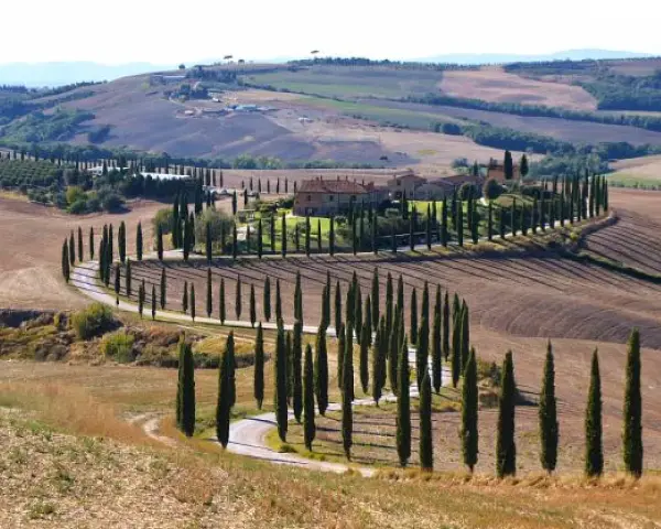 Strade sinuose e cipressi iconici nel parco della Val d'Orcia, con un casale in lontananza.
