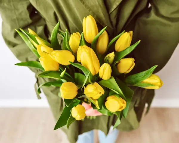 Bukiet żółtych tulipanów, symbolizujących radość i nadzieję. Co oznacza żółty tulipan? To uśmiech natury!